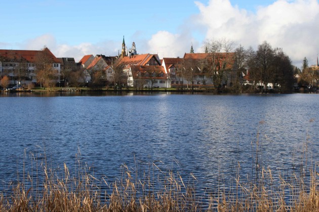 Bad Waldsee mit Ortsrand im Hintergrund