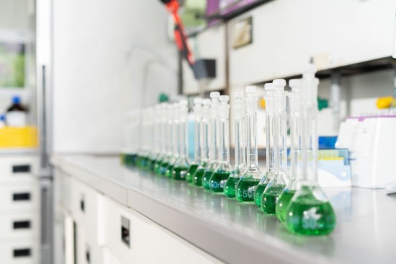 Reihe Probenbehälter mit grüner Substanz in einem Labor