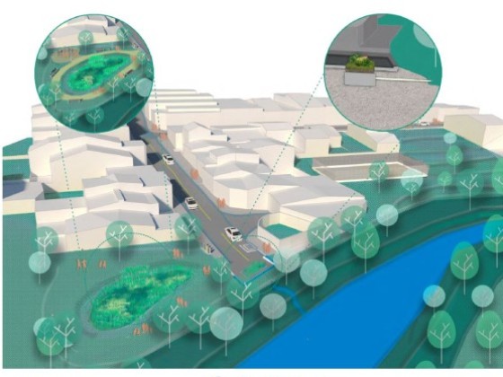 Grafik zu Temporal rainwater detention and constructed wetland