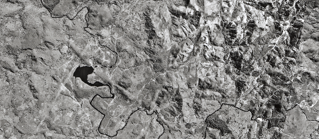 Luftbild in Graustufen